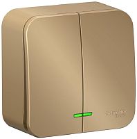 Выключатель с подсветкой накладной Systeme Electric Blanca 2-кл. титан картинка